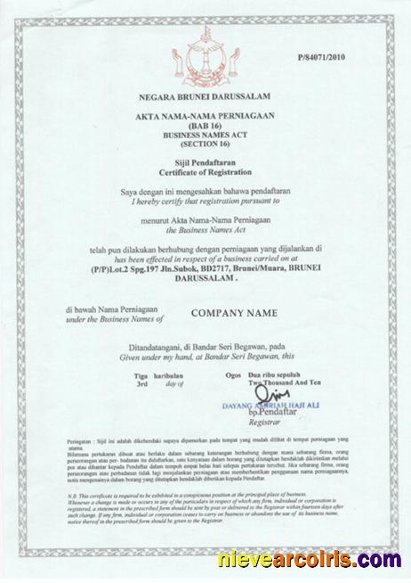 Brunei Business License